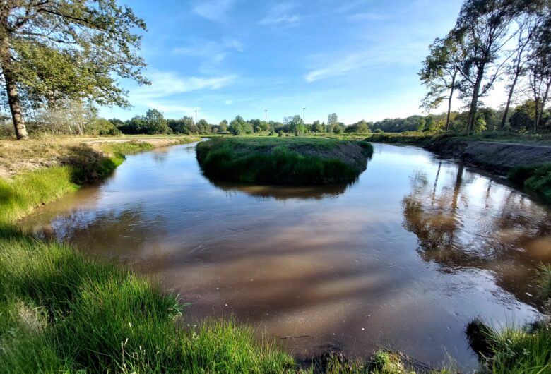 Re-meandering of the Kleine Nete