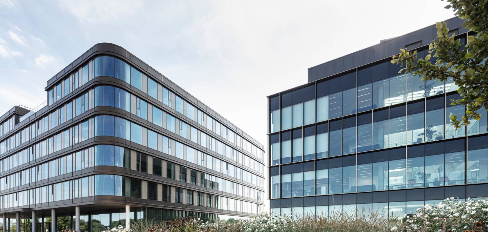 picture of office blocks