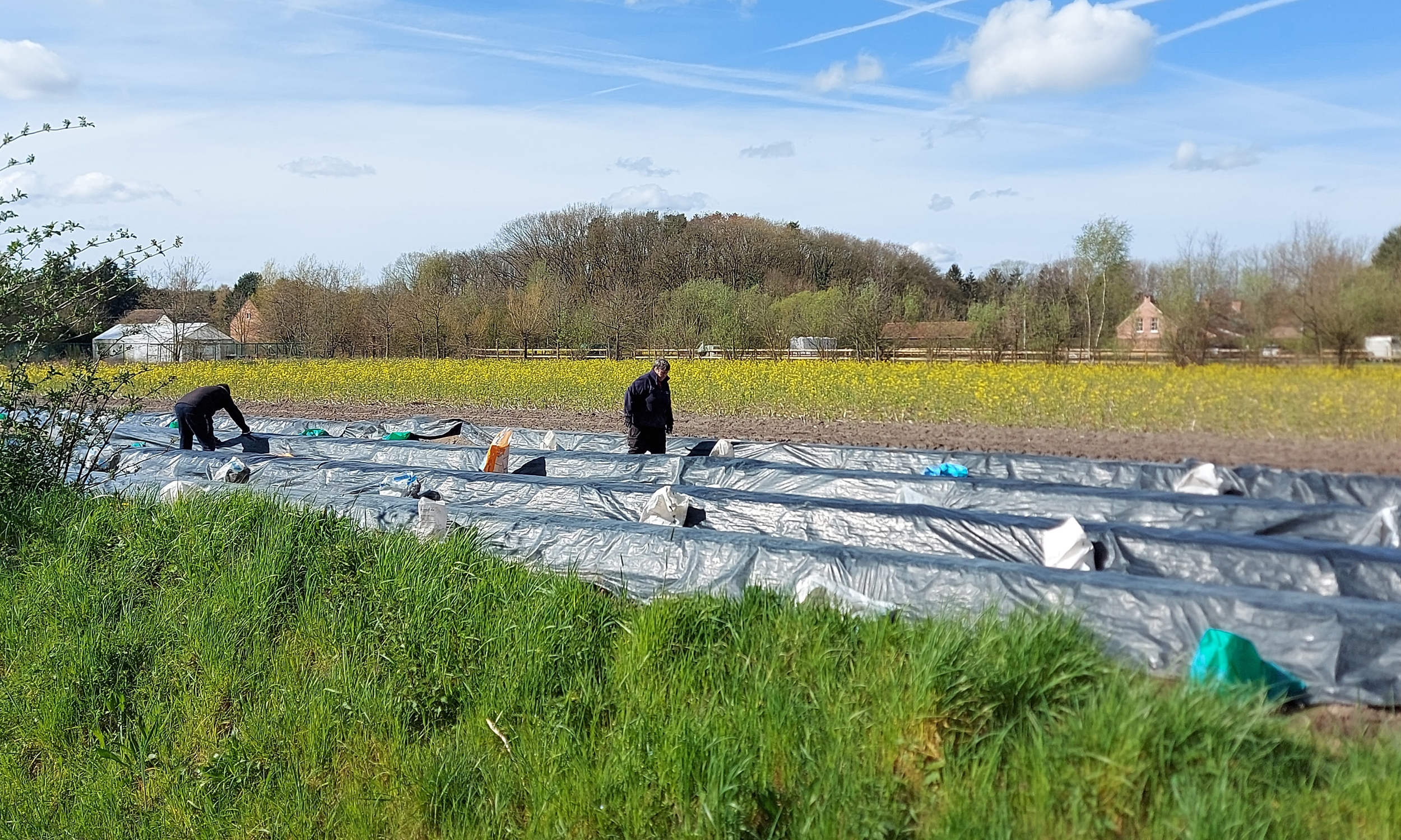 landbouwers aan het werk in een veld in Tremelo