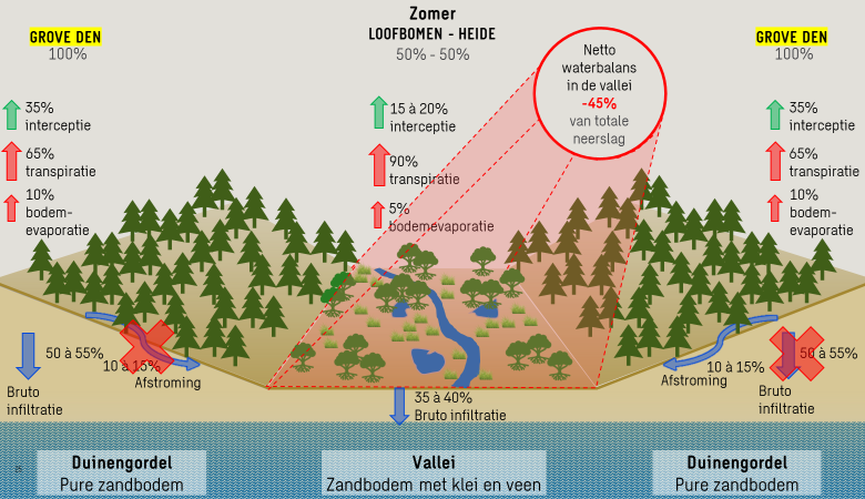 Aanpak van verdroging in Landschap De Liereman