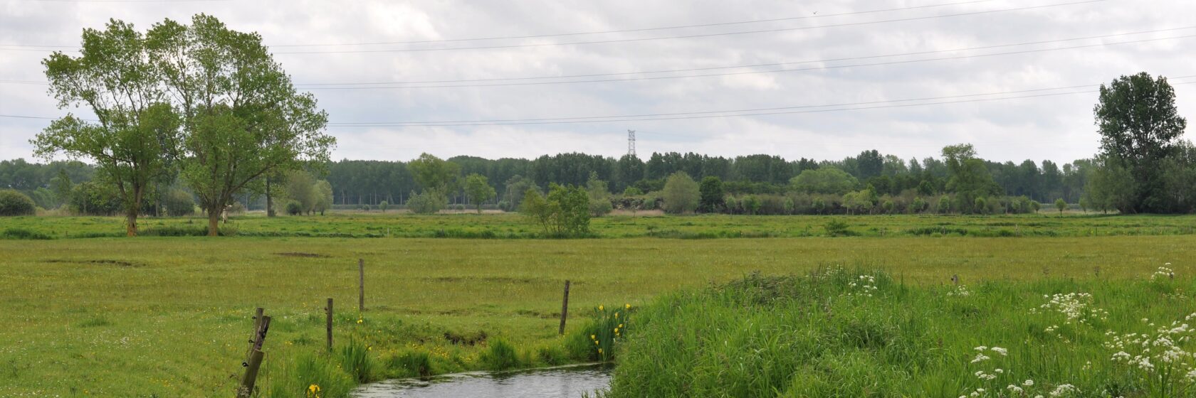 Eerste Hulp bij Droogte: integraal waterbeheer in kwetsbare ecosystemen