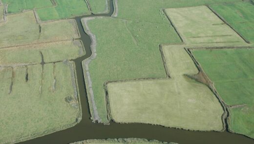 Eerste Hulp bij Droogte: integraal waterbeheer in kwetsbare ecosystemen