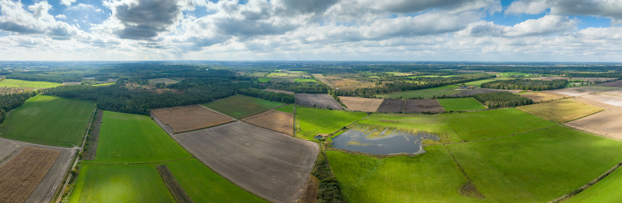 Aanpak van verdroging in Landschap De Liereman