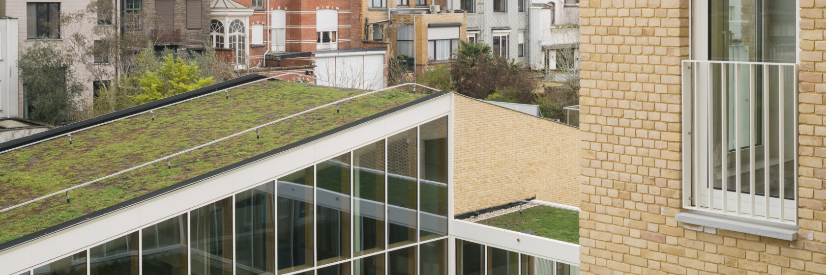 View of the green roof of the office building