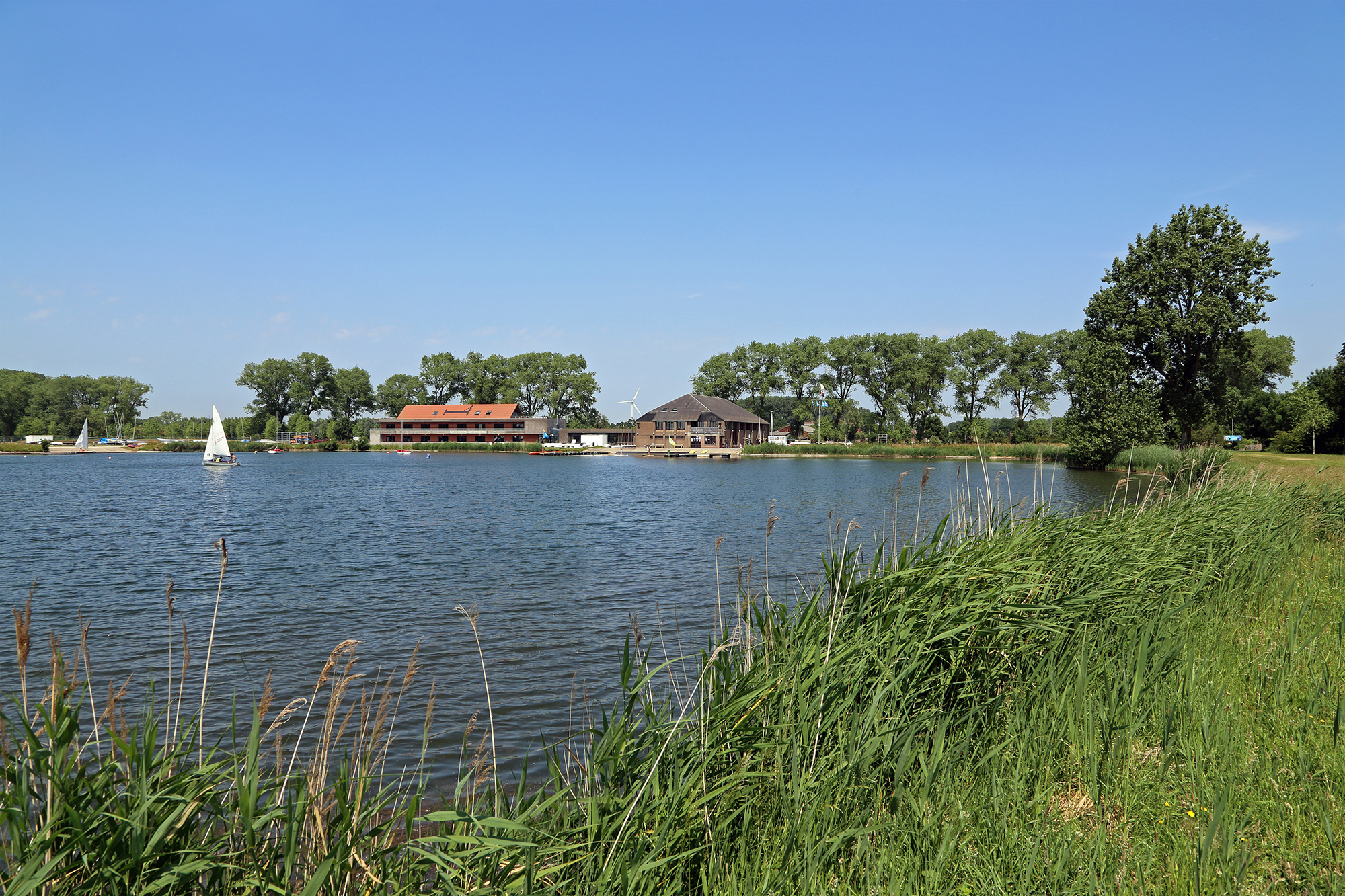 Masterplan Sint-Pietersplas: nieuwe openbare zwemzone voor Brugge