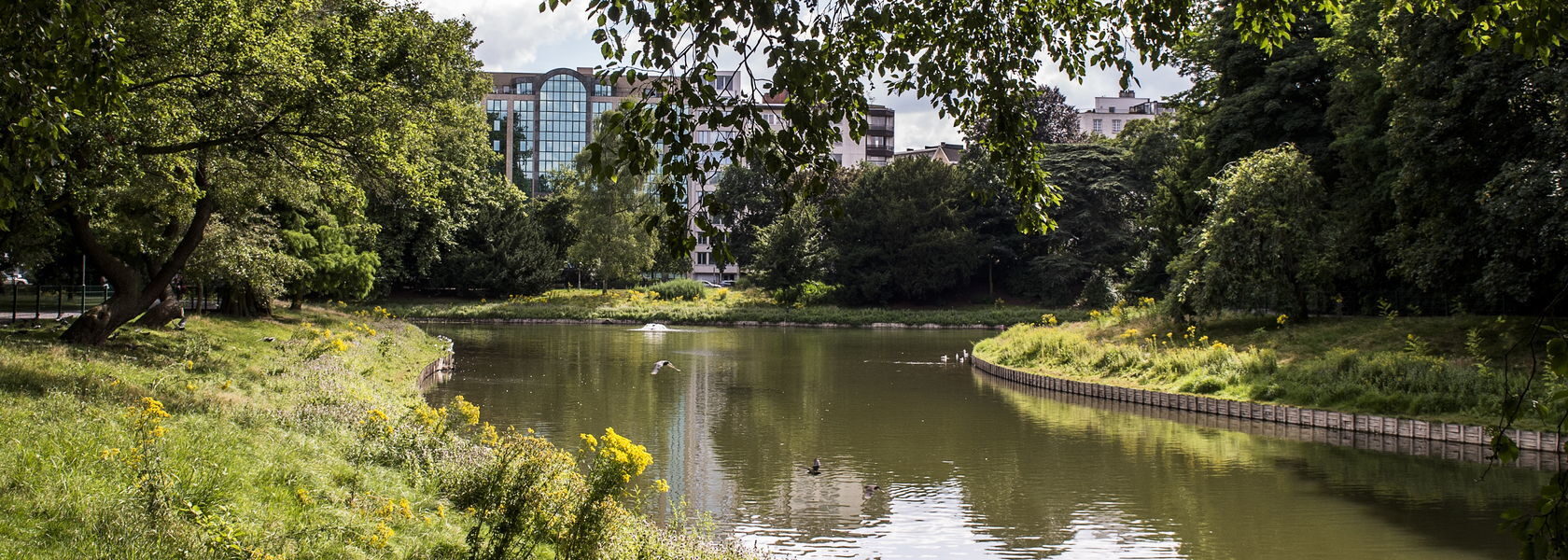 Circulair Waternet Antwerpen: elke druppel telt tegen verdroging