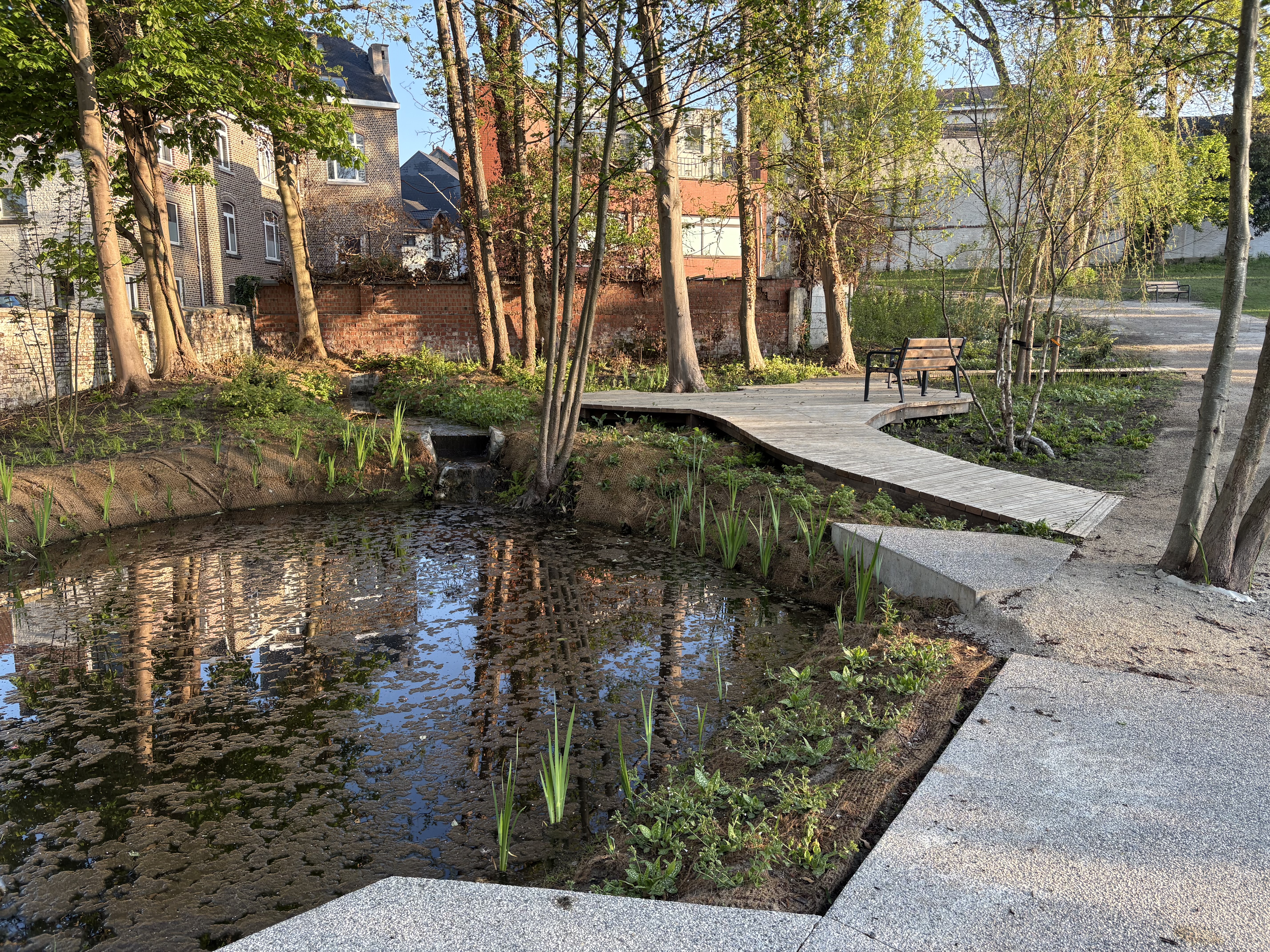 houten vlonder en vijver