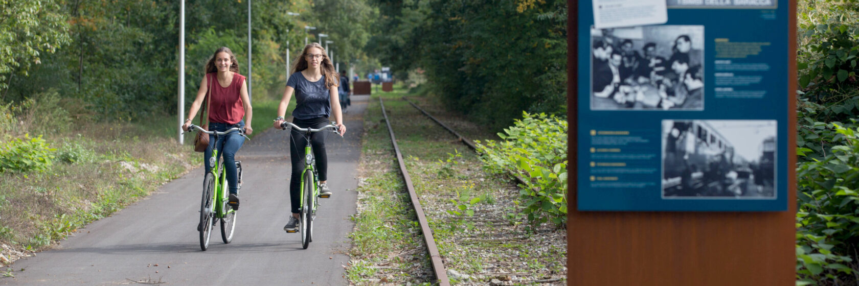 Kolenspoor: Limburg bouwt langste fietssnelwegtraject ooit