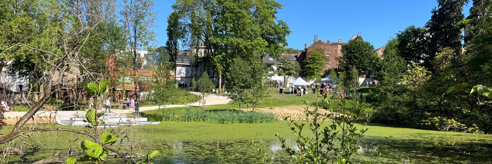 groen park met vijver en bomen