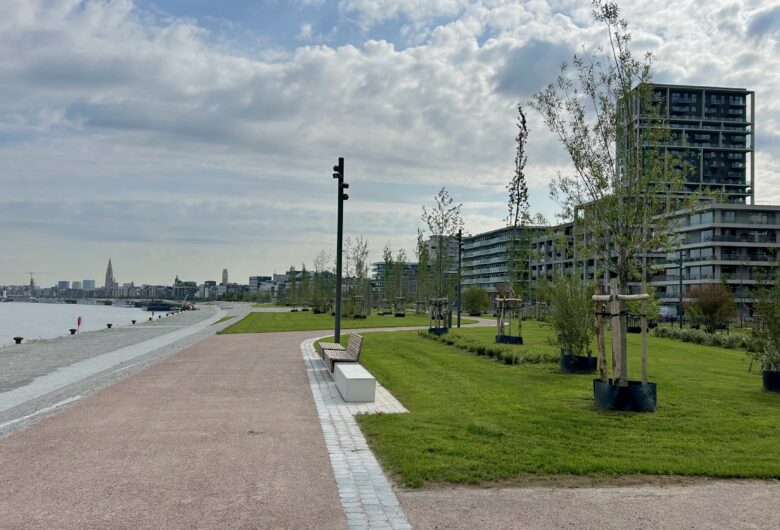 photo of the Nieuw Zuid Scheldekaaien park, with view of the river Scheldt and Antwerp cathedral in the distance