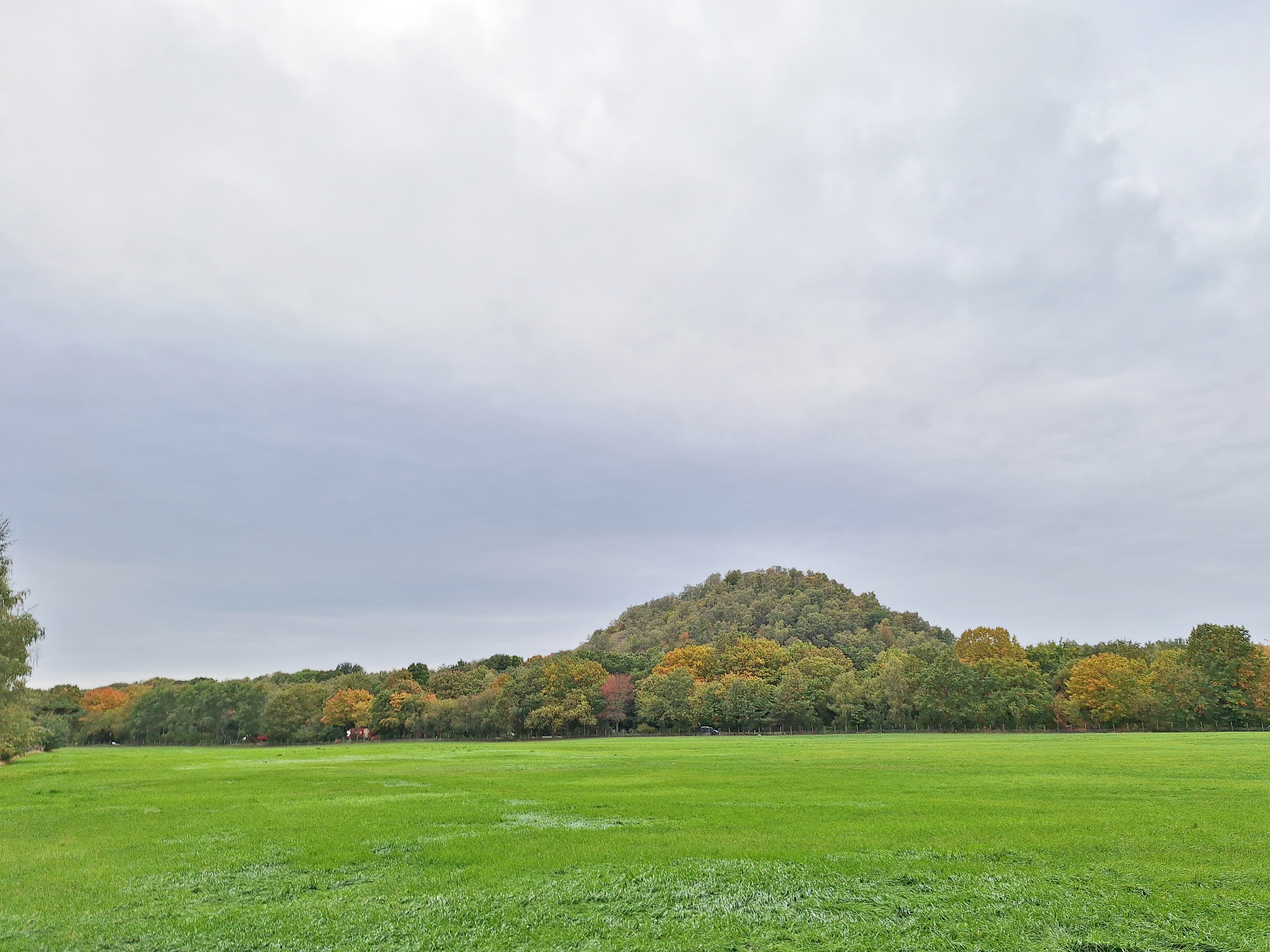 Van gladde slang tot ree: ecovallei Zwarte Berg rolt groene loper uit