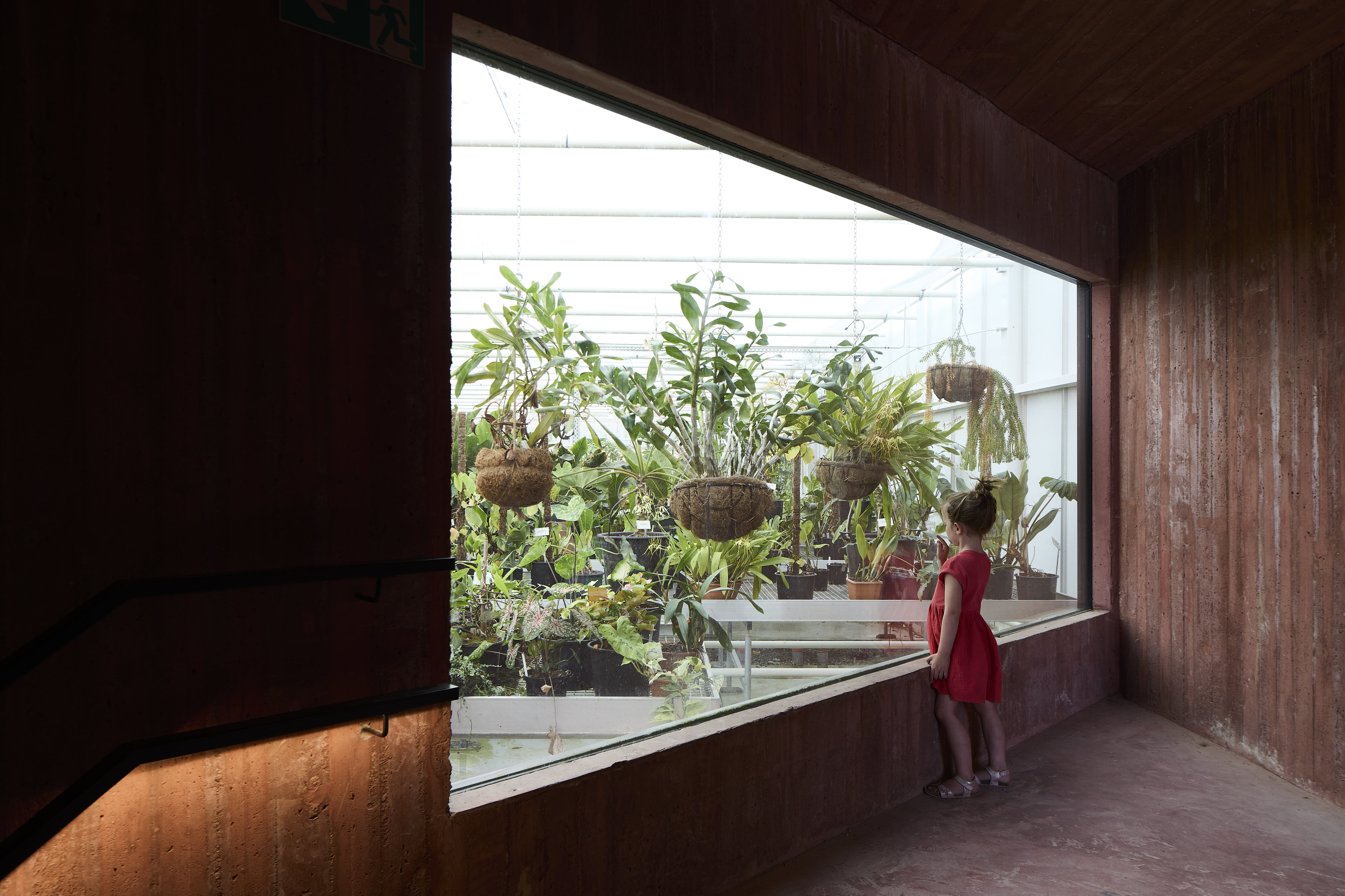 Groeispurt voor Plantentuin Meise: techniek versterkt biodiversiteit