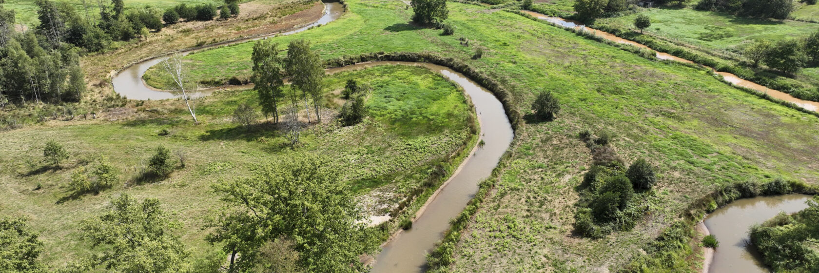 Sweco begeleidt groot hydrologisch systeemherstelproject in de vallei van de Kleine Nete