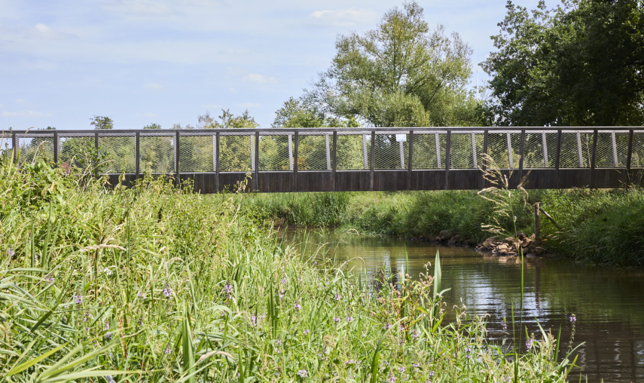 Sweco begeleidt groot hydrologisch systeemherstelproject in de vallei van de Kleine Nete