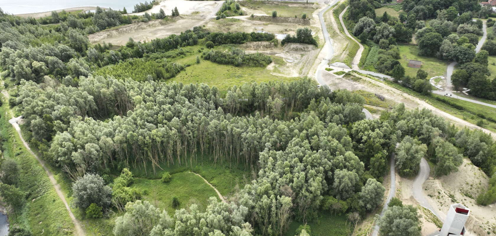 Wonderwoud Gent: een nieuwe groenpool aan de stadsrand