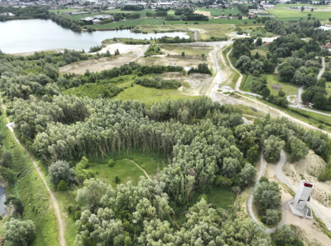 Wonderwoud Gent: een nieuwe groenpool aan de stadsrand