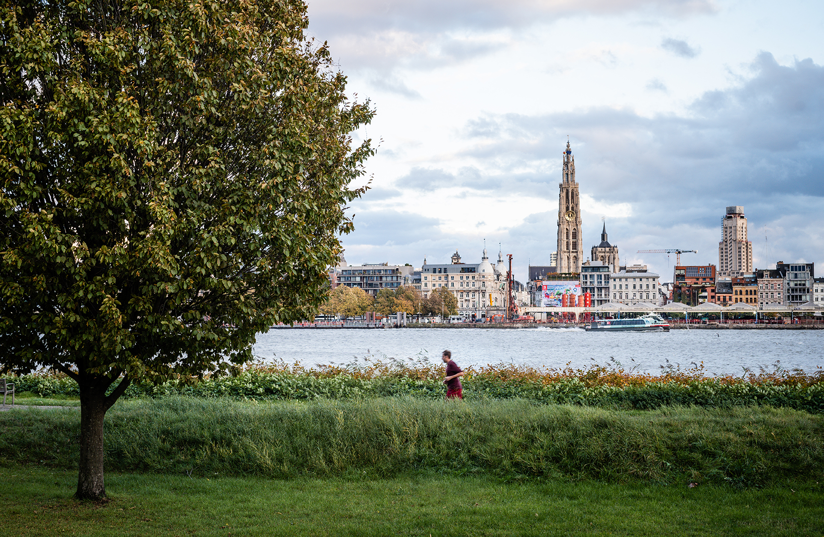 Johan Van Reeth treedt toe tot integrale kwaliteitskamer Antwerpen