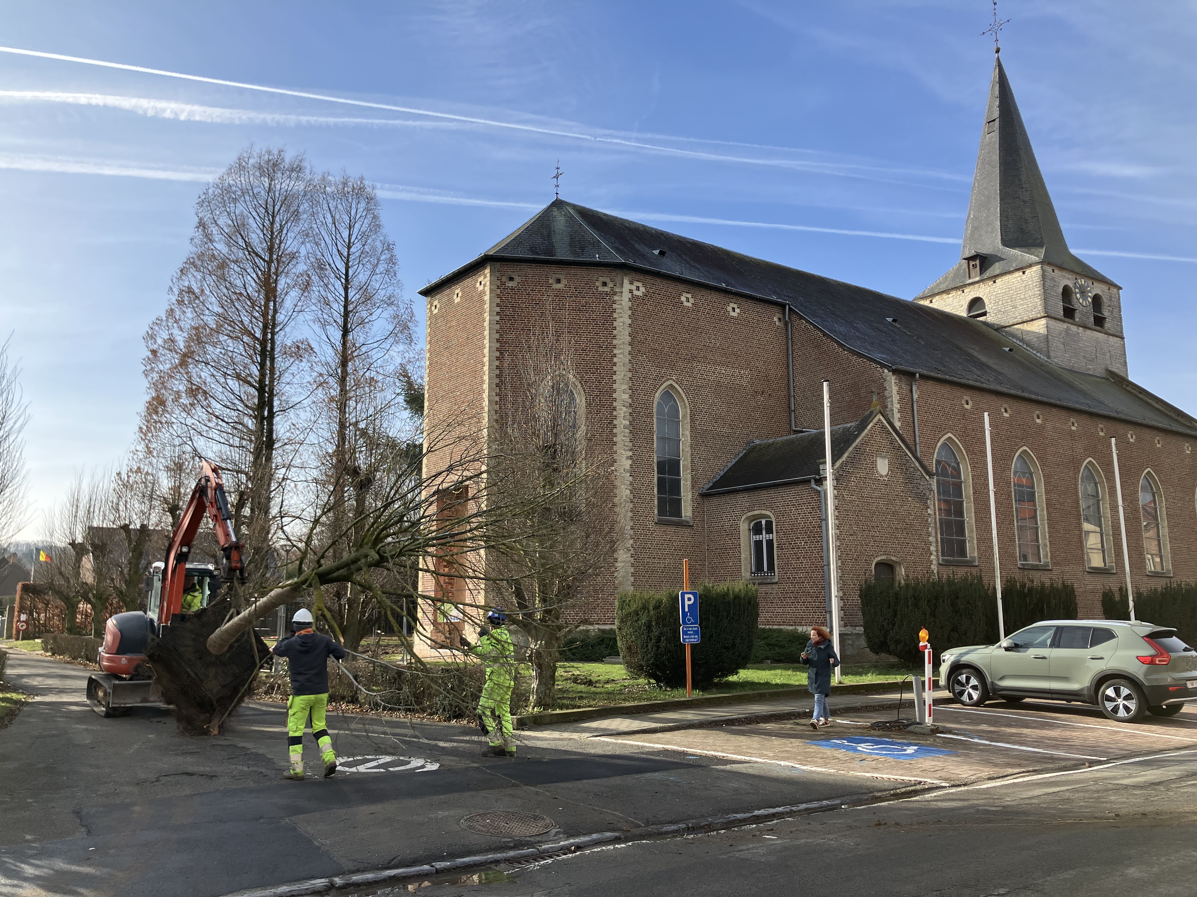 rechts een kerk, links een hele boom die met een graafmachine verplant wordt