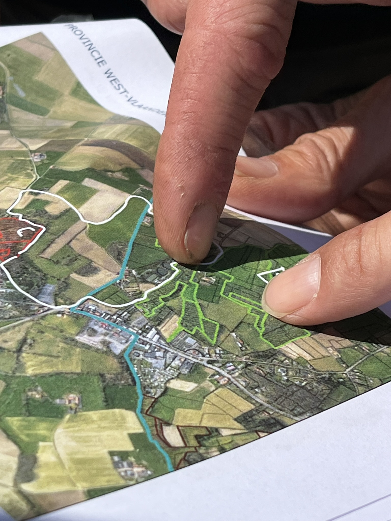 Vuursalamander krijgt nieuwe kansen in Vlaamse Heuvels