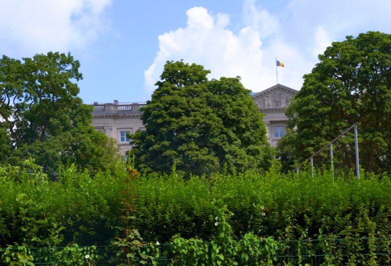 bomen met in de verte een wapperende vlag op KMS