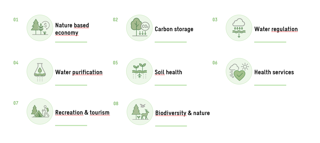 opsomming van 8 ecosysteemdienstclusters met groene icoontjes