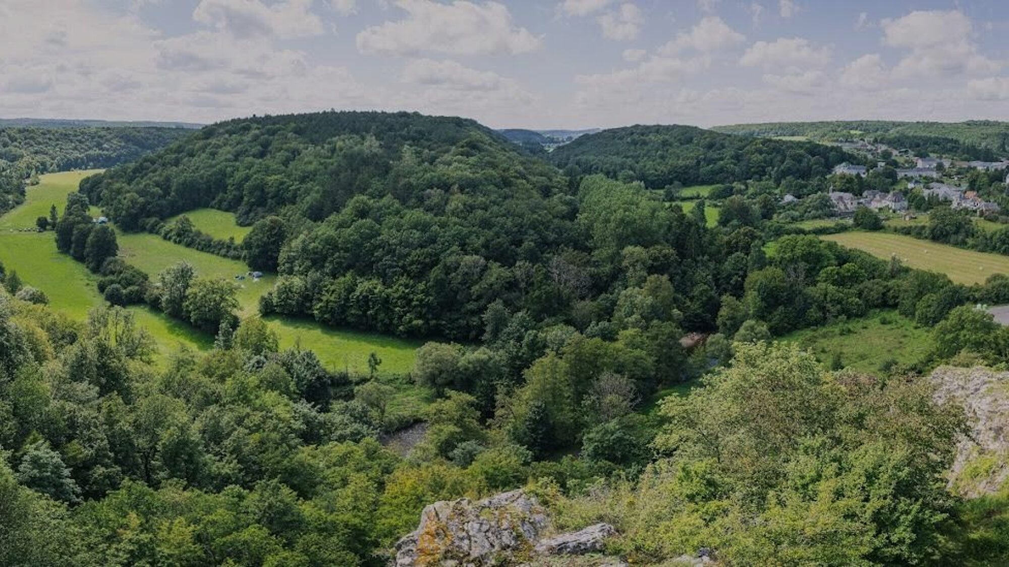 birds eye view op natuurpark