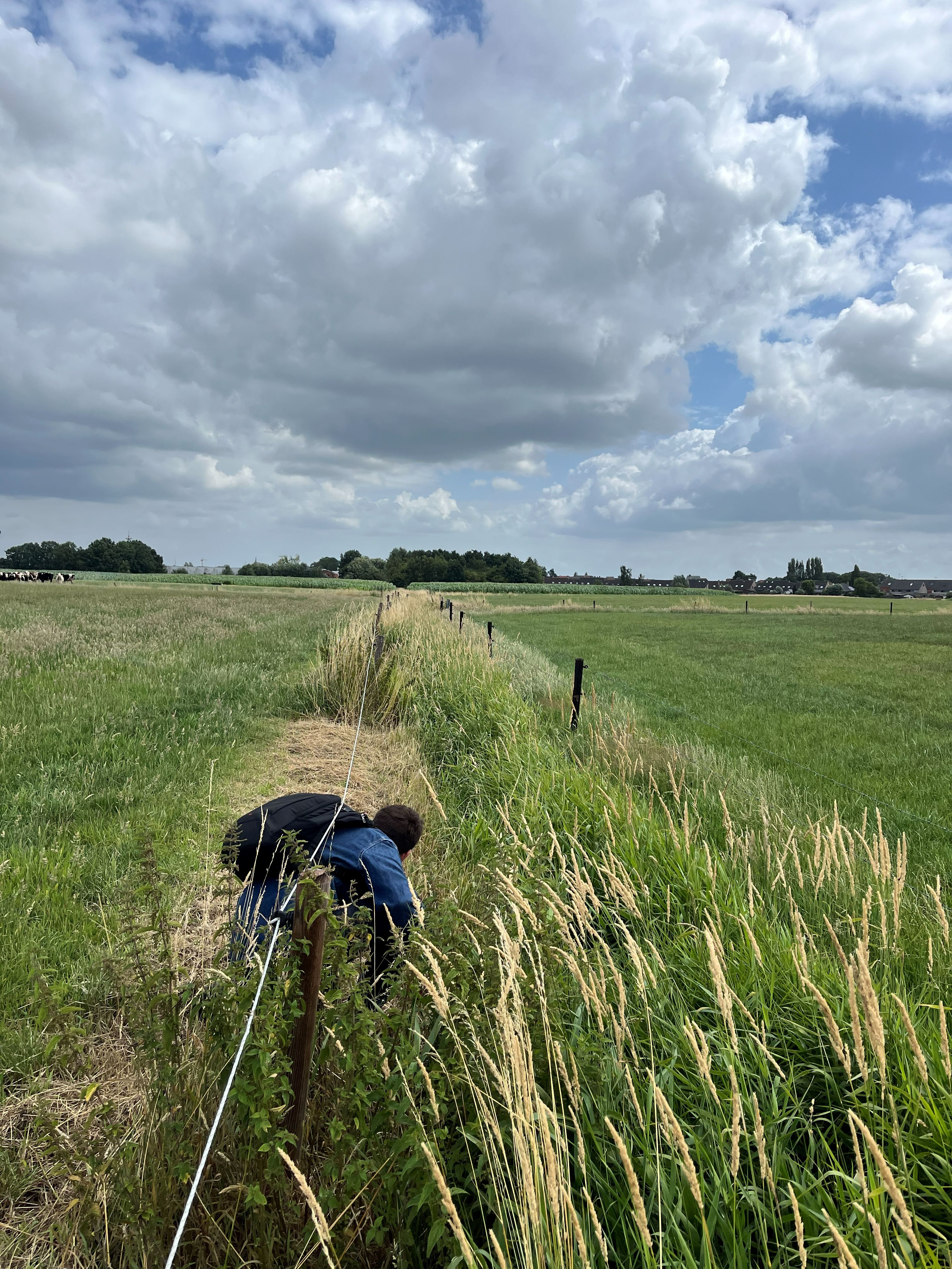 man kruipt onder draad in veld