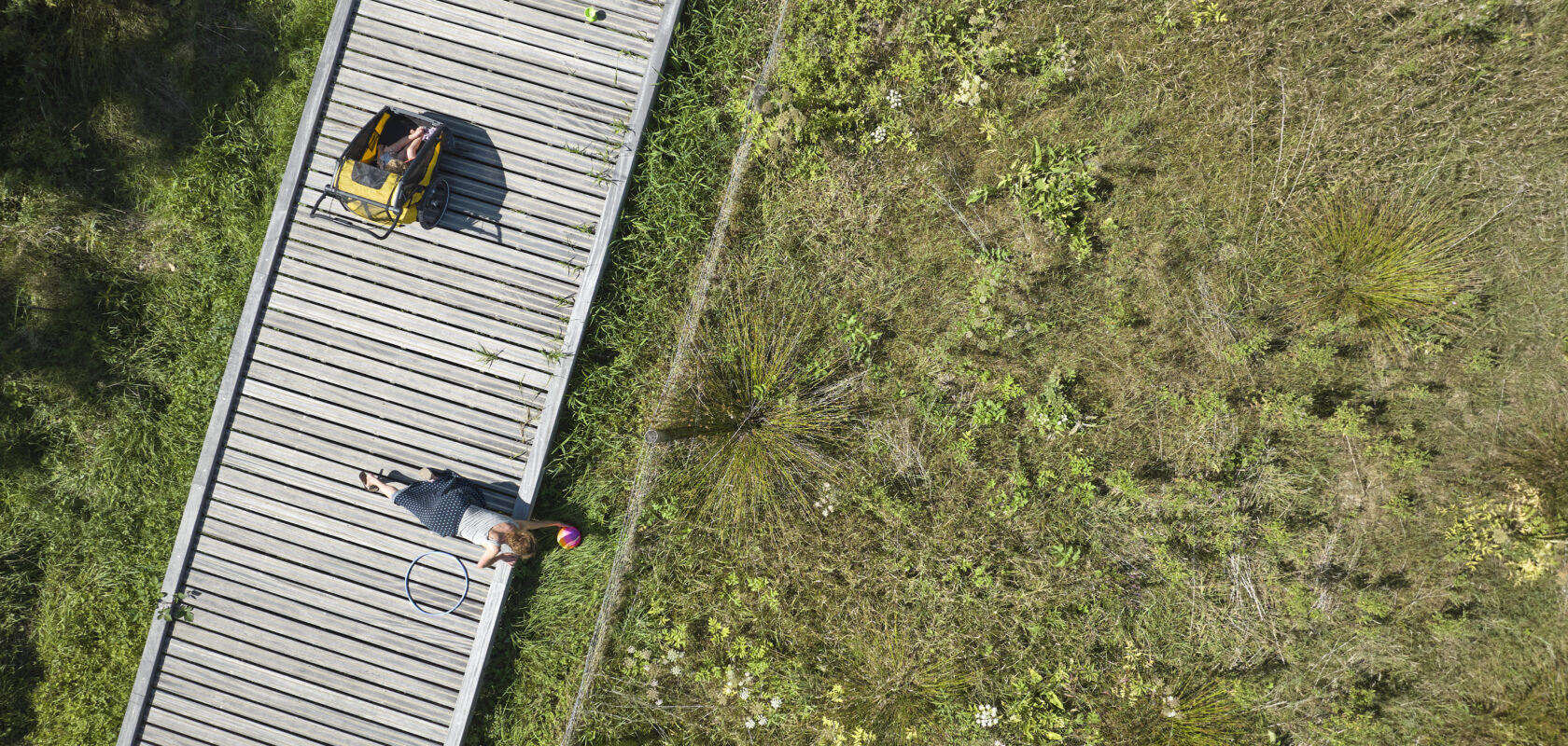 twee personen op een houten brug met gras errond