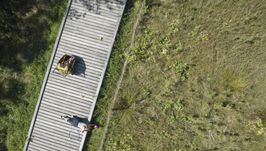 twee personen op een houten brug met gras errond