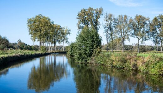 photo of the river Dender and its river banks at the commune of Zandbergen
