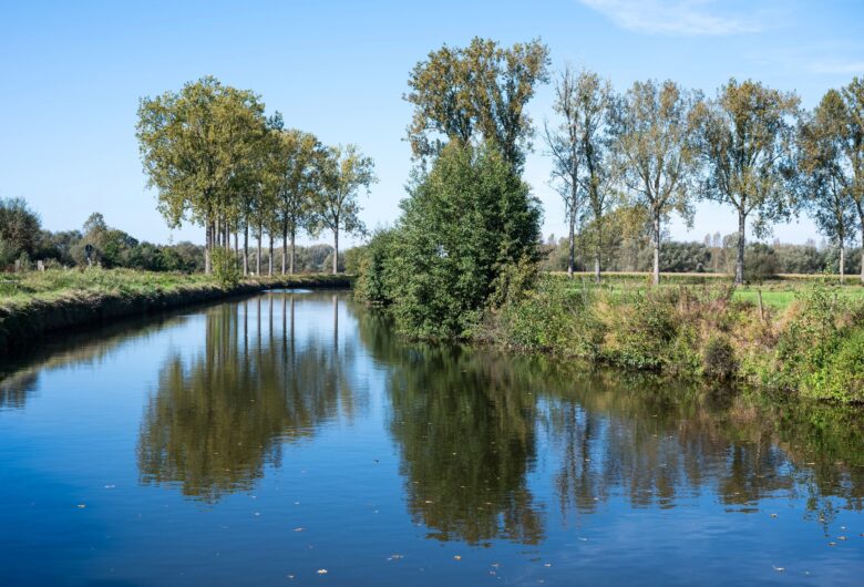 photo of the river Dender and its river banks at the commune of Zandbergen