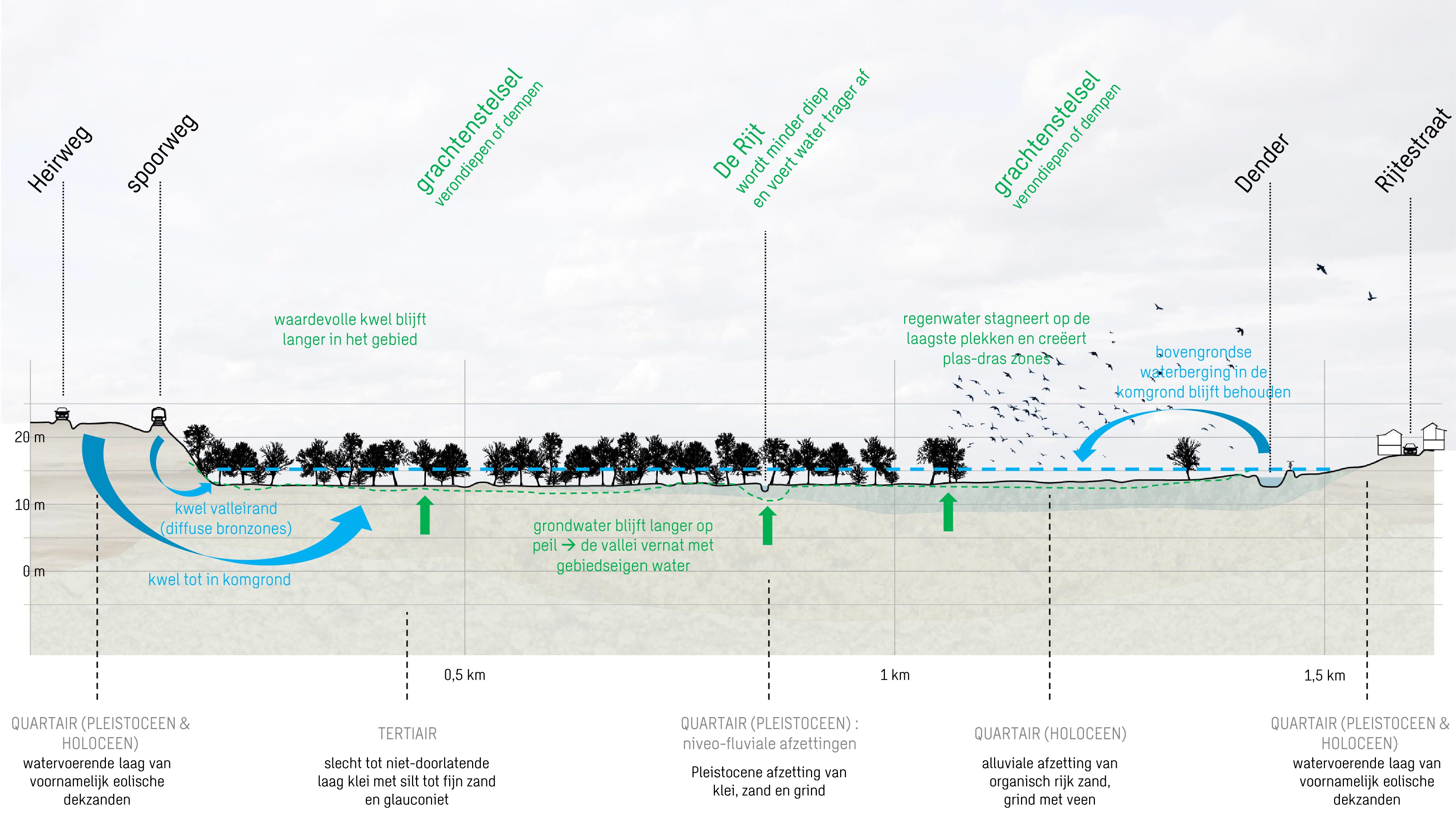 drawing with the cross-section of the river Dender at De Nuchten nature reserve, and indications of nature positive measures