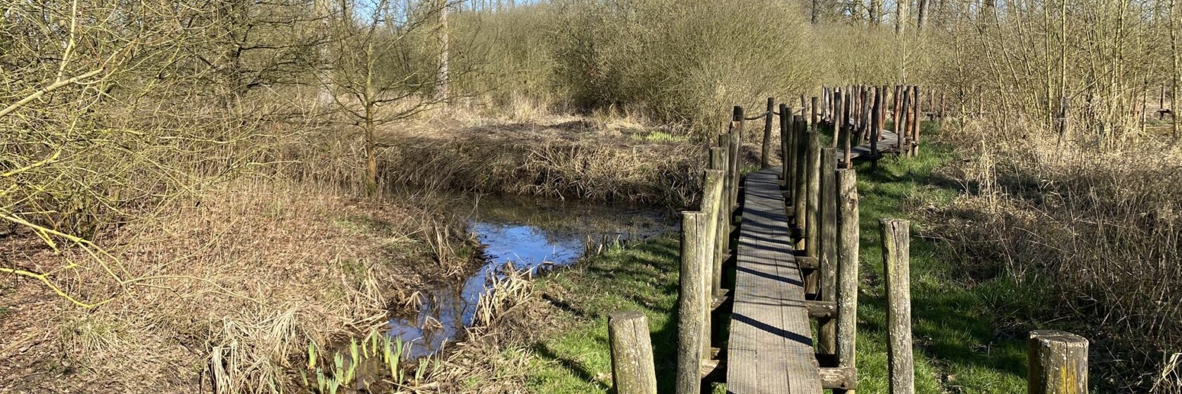 Photo of the nature walk De Nuchten, alongside the river Dender