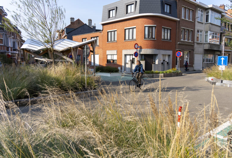 fietser op de baan omring met beplanting